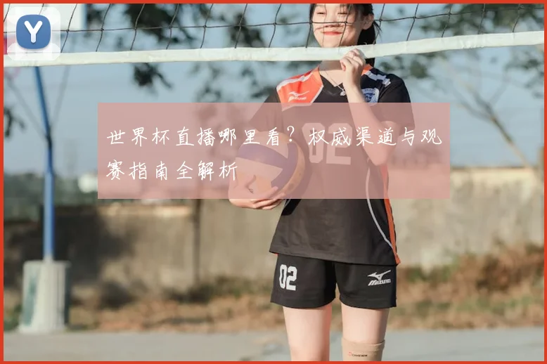世界杯直播哪里看？权威渠道与观赛指南全解析