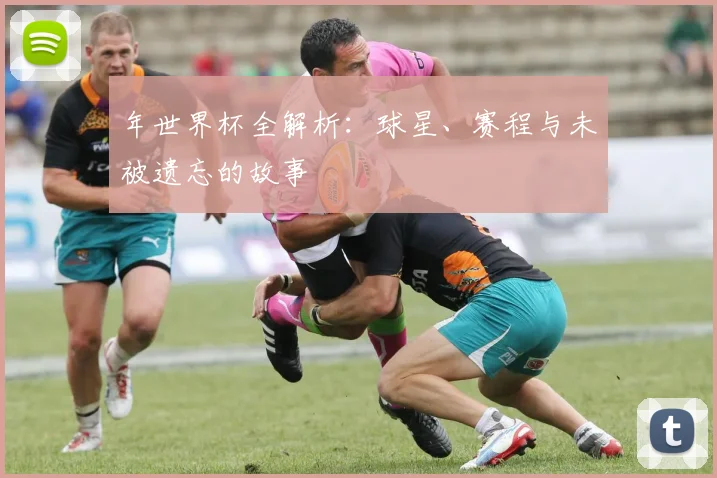 年世界杯全解析：球星、赛程与未被遗忘的故事