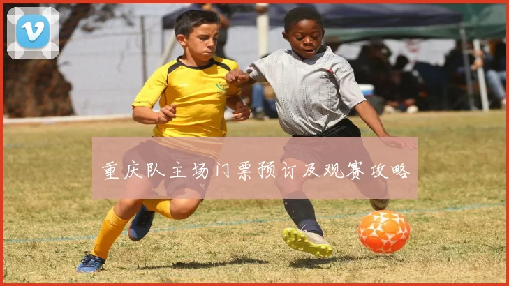 重庆队主场门票预订及观赛攻略