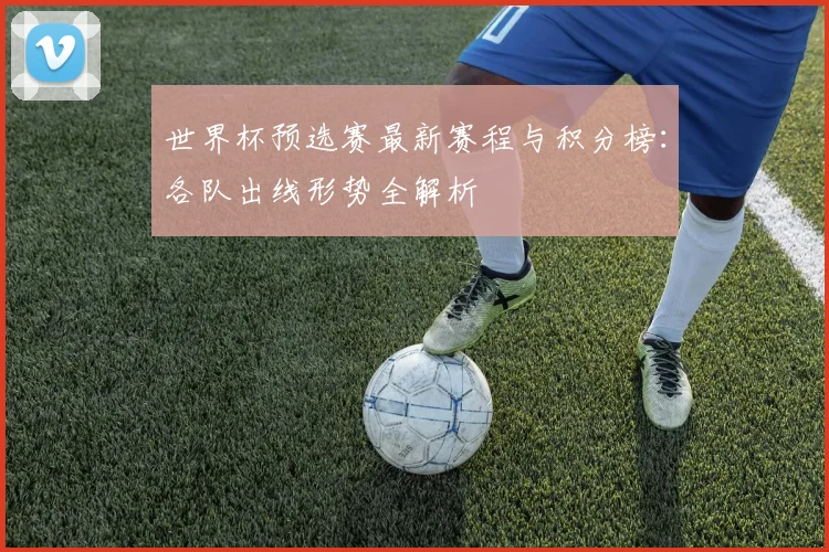 世界杯预选赛最新赛程与积分榜：各队出线形势全解析