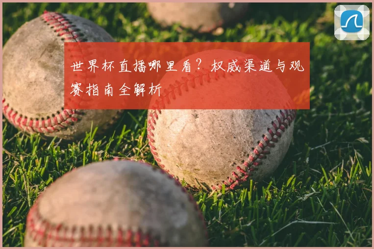 世界杯直播哪里看？权威渠道与观赛指南全解析